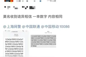 国内不少人收到奇怪的数字短信！破案了图片