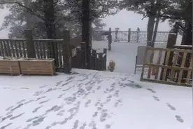 “五一”假期第一天，西岭雪山下雪了 牛背山开放了图片