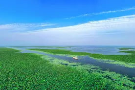 防汛抗旱两手抓 湖北五大湖泊蓄水同比偏多12%图片
