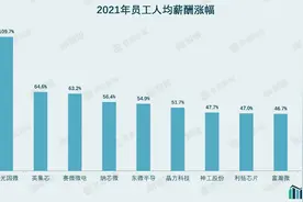 财说 | 刚毕业的芯片工程师年薪40万？五张图了解A股半导体公司薪酬现状图片