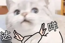第一届“00后”已经22岁了图片