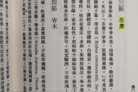 荼蘼原来是宋人心底的白月光图片