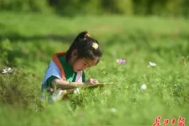 气温32℃，夏天是到了吗？且再观望几天图片