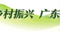 住乡村民宿，享酒店式服务图片