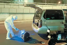 急！集中隔离密接人员的宠物该咋办？宠物店主一晚上接手7只“宝宝”图片