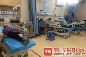 一群黑压压的蜜蜂来袭，南宁7名绿化工人遭“围攻”图片