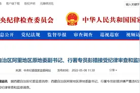 退休两年后，厅级领导主动投案，系一月内的第三位图片