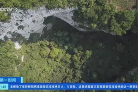 世界最大天坑群再添新成员！广西乐业“天坑家族”增至30个图片