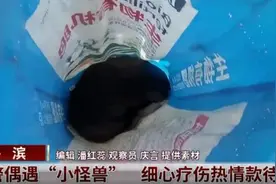 民警偶遇“小怪兽”，细心疗伤热情款待图片