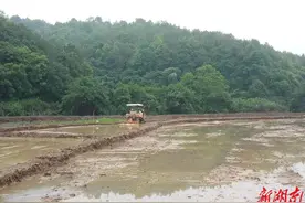 “土地是农民的命根子不能荒”图片