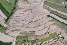 新华全媒+｜唤醒“沉睡”的万亩撂荒地视频封面