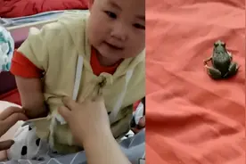 孩子第一次抓到青蛙当礼物送妈妈，妈妈被吓尖叫视频封面