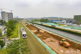 光谷高新三路改造奋力推进图片