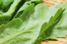 几块钱一斤的“皇帝菜”，常吃血管干净、肝脏越来越健康~还是护眼、通便的高手图片