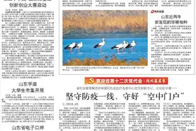 珍稀野生动物频频“亮相”山东图片