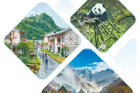 有青山为邻图片