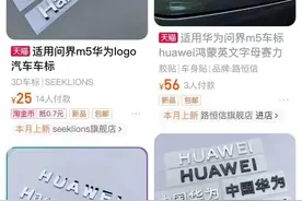 给问界M5换“华为车标”？小康股份董事长回应了！交警提示：违法图片