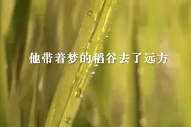 缅怀 | 袁隆平逝世一周年！他的功勋我们不敢忘图片
