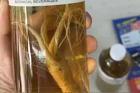 网红“一整根”人参水卖断货，熬夜神器还是智商税？米兰球迷：喝了还是困图片