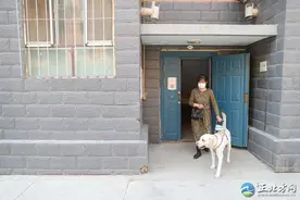 呼和浩特市首只导盲犬A梦：用我一生做你的眼图片