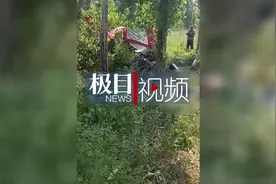 河北石家庄一直升机坠毁？林业局：系迫降，有人员受伤图片