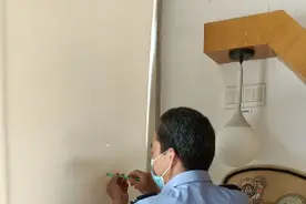 白头翁在幼儿园筑巢下蛋孵化，师生“凿孔”观鸟不亦乐乎图片