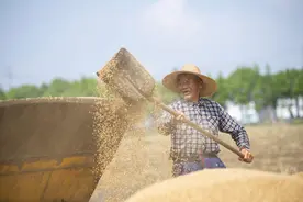 国际时评 | 推动世界人权事业进步的中国贡献图片