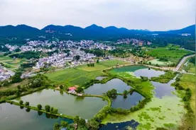 村里的人气，回来了图片
