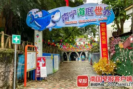 南宁两家海洋馆闭馆后欲重开，未来该何去何从？图片