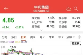 爆雷！5连板光伏牛股突然被ST了图片