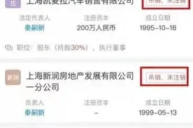 一桩5000万内幕交易，揭开中国最神秘“富二代”面纱图片