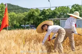 有一种美景叫金色麦浪图片