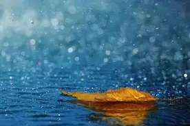好多人说自己湿气重，什么是湿？图片