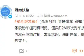 D2809次列车殉职司机名叫杨勇 危急时刻果断停车图片