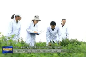 沿着总书记的足迹·大河奔流丨​培育耐盐碱作物 保障国家粮食安全图片