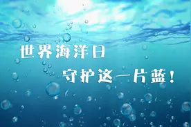 世界海洋日|守护这一片蓝视频封面