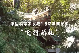 中国科学家发现1.8亿年前昆虫“飞行婚礼”