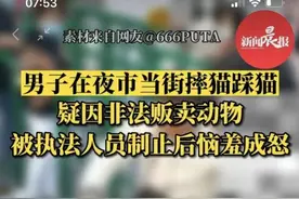 男子夜市摔猫引众怒，承德发布情况通报图片