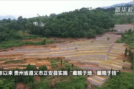 贵州正安：旱地改良田  保粮食安全视频封面