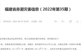 紧急！福建海域出现有毒赤潮！这些海鲜近期少吃，严重可致命图片