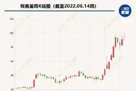 “露营概念股”牧高笛股价盘中创新高 迪卡侬中国：户外露营消费持续增长图片