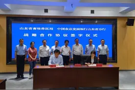 山东创新金融支持畜牧业发展新模式，支持打造预制菜产业集群图片