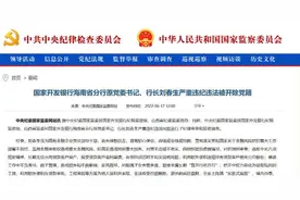 境内办事，境外收钱！国开行海南省分行原行长刘春生被开除党籍图片