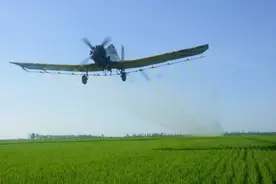 「大国粮仓」稳粮增豆！北大荒今年这样干图片