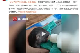 女子捡了只小狗养大后竟是貉：属国家二级保护动物图片