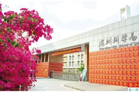 十年磨砺，再创高峰“魔法”学校保持高位图片