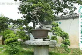爱花之人必看！这是江苏最“花”的地方……图片