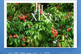吃荔枝，还真得看中国人的图片