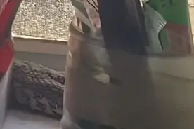家中惊现大蛇！西安一大爷紧急求助，抹布：有人说我是蛇？图片