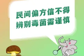 中共云南省委办公厅 云南省人民政府办公厅印发《云南省产业强省三年行动（2022—2024年）》图片